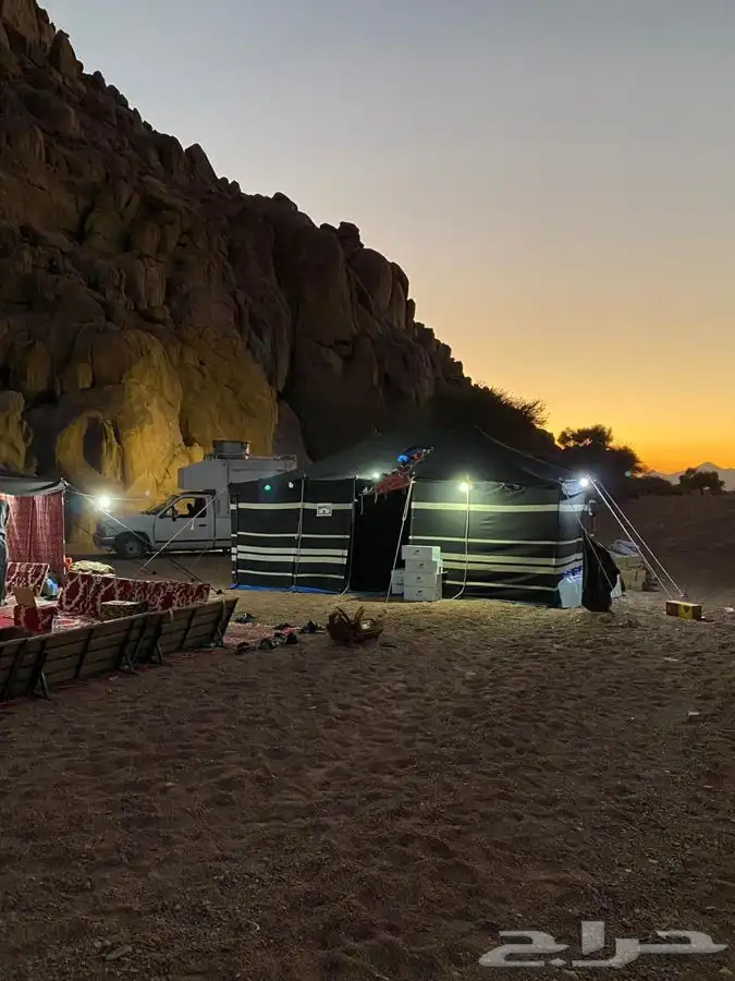 تجهيز مخيمات في حائل مع عمال ضيافة 1