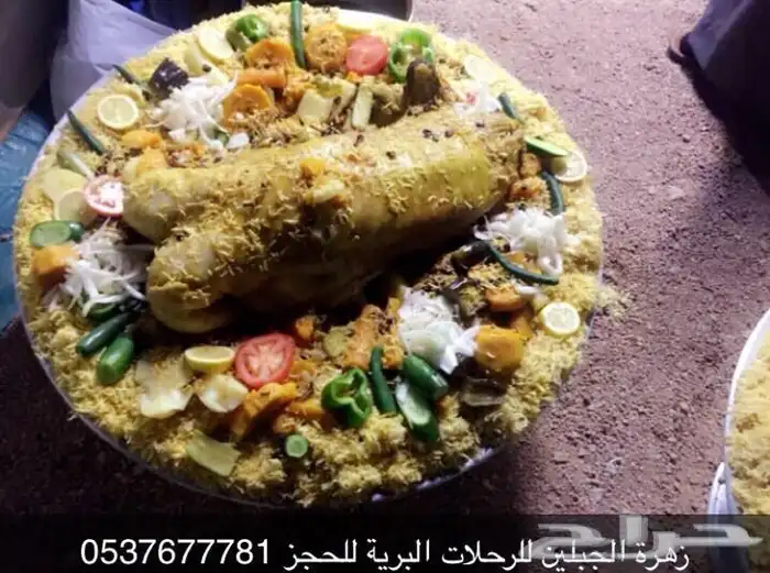 تجهيز مخيمات في حائل مع عمال ضيافة 31