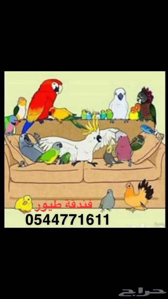 فندقه طيور 0