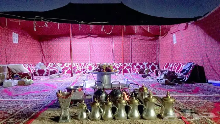 تجهيز مخيمات في حائل مع عمال ضيافة 27