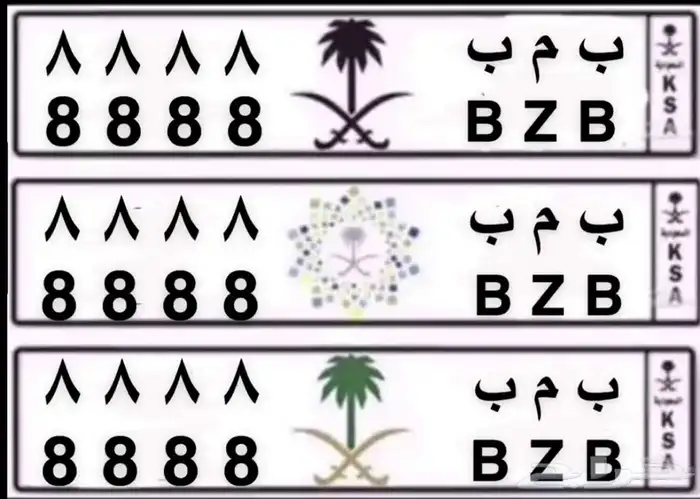 لوحة خصوصي مميزه للبيع 2