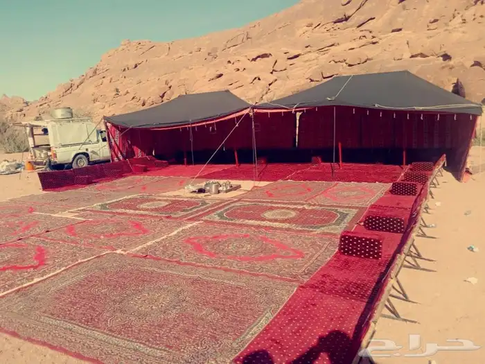 تجهيز مخيمات في حائل مع عمال ضيافة 9