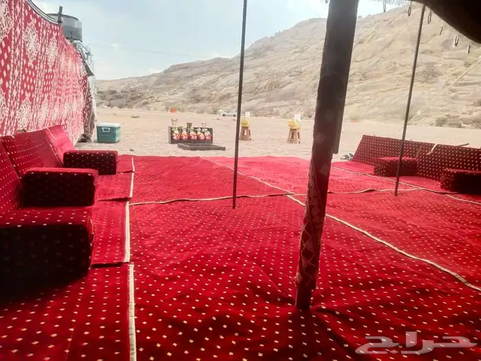 تجهيز مخيمات في حائل مع عمال ضيافة 7