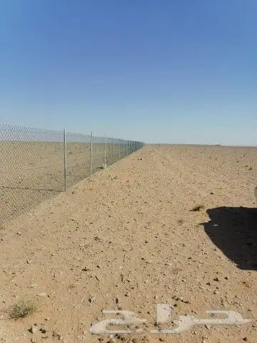 مقاول شبوك 0