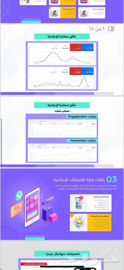 تصميم موقع إلكتروني وتصميم متجر سلة او زد حملة اعلان 5