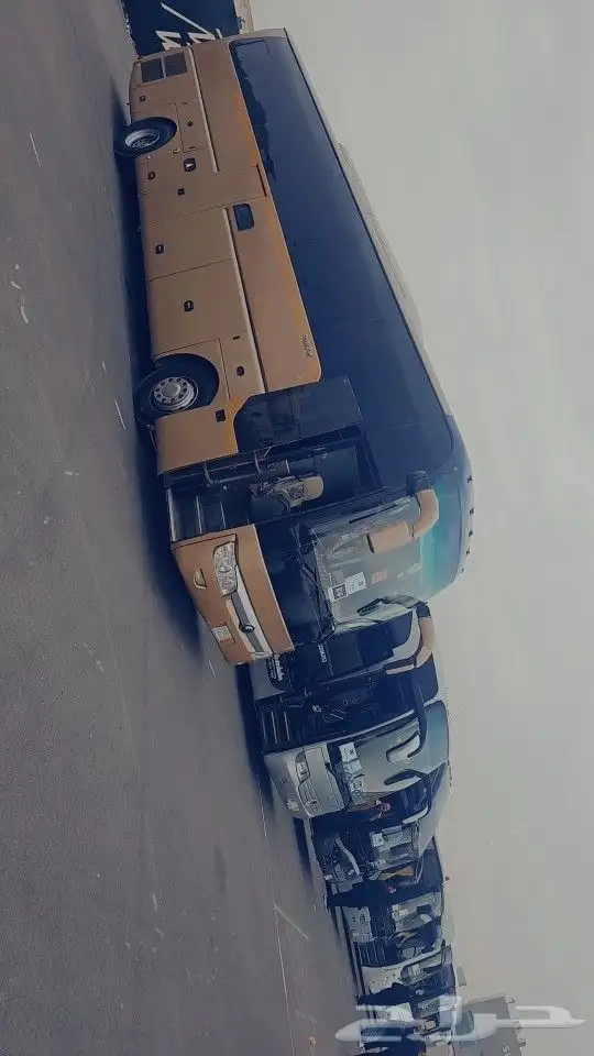 باصات للايجار اليومي والشهري 2