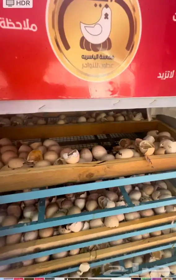 فقاسات الياسريه بنضام التبريد 12