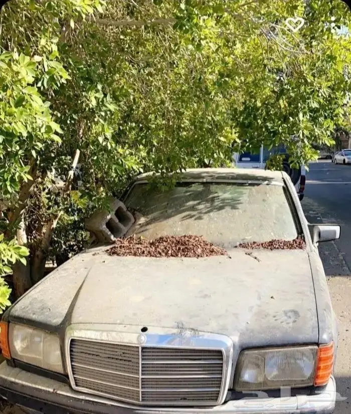 مرسيدس 1990 SE300 0