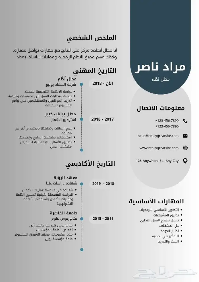 مصممة CV  لوقو تجاري  مدخلة بيانات كاتبة محتوى عمل فديوهات 1
