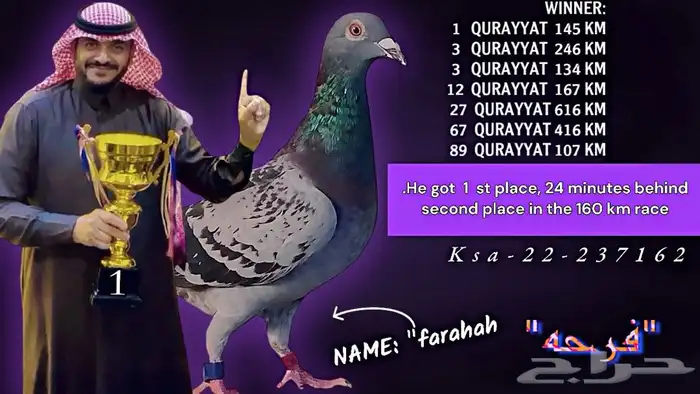 زاجل سباقات مسافات 5