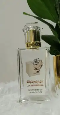 عطور تعبئة ماركات جملة ب 7 ريال فقط اقل طلب كرتونين 120 عطر 2