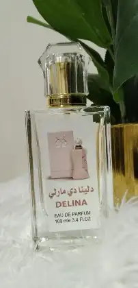 عطور تعبئة ماركات جملة ب 7 ريال فقط اقل طلب كرتونين 120 عطر 1