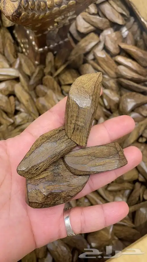 عود مروكي 0
