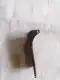 قاعدة تثبيت الاجهزة اليدوية ايكوم 2