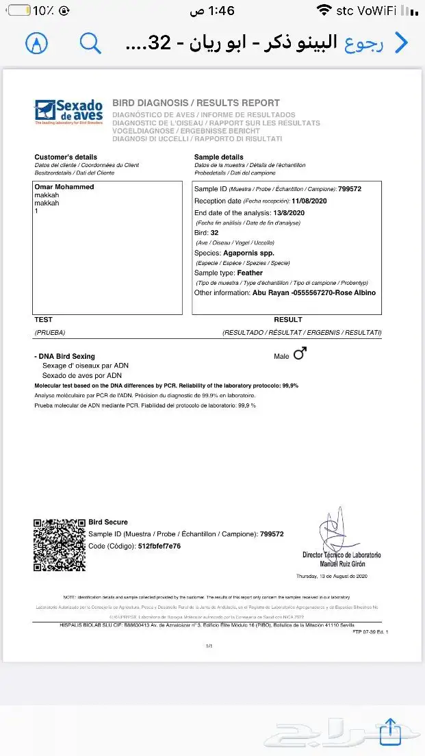 ذكر روز البينو بشهاده 4