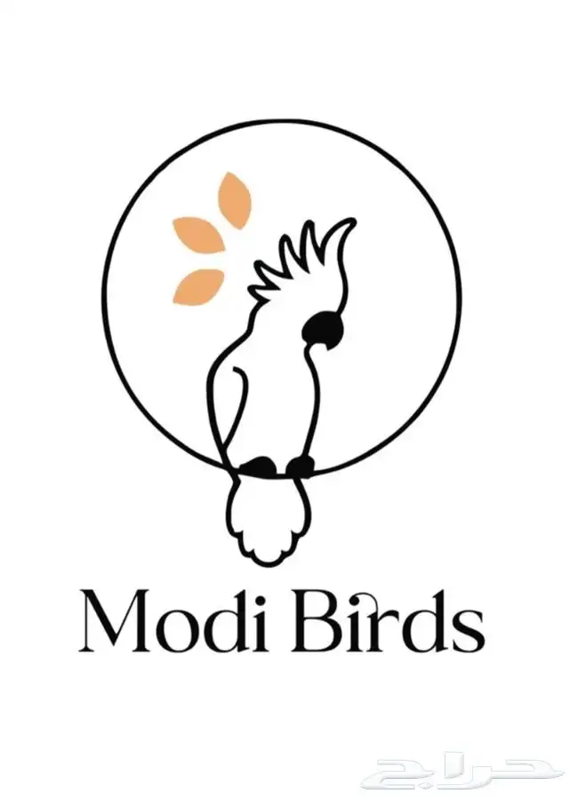 متجر حيوانات Modi Birds 9