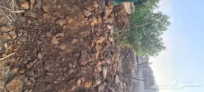 منتجات اغنام ودجاج 0