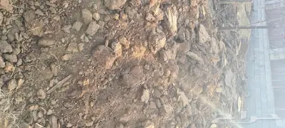 منتجات اغنام ودجاج 1