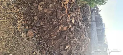 منتجات اغنام ودجاج 2