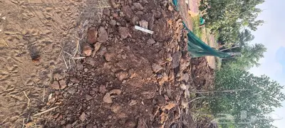 منتجات اغنام ودجاج 3