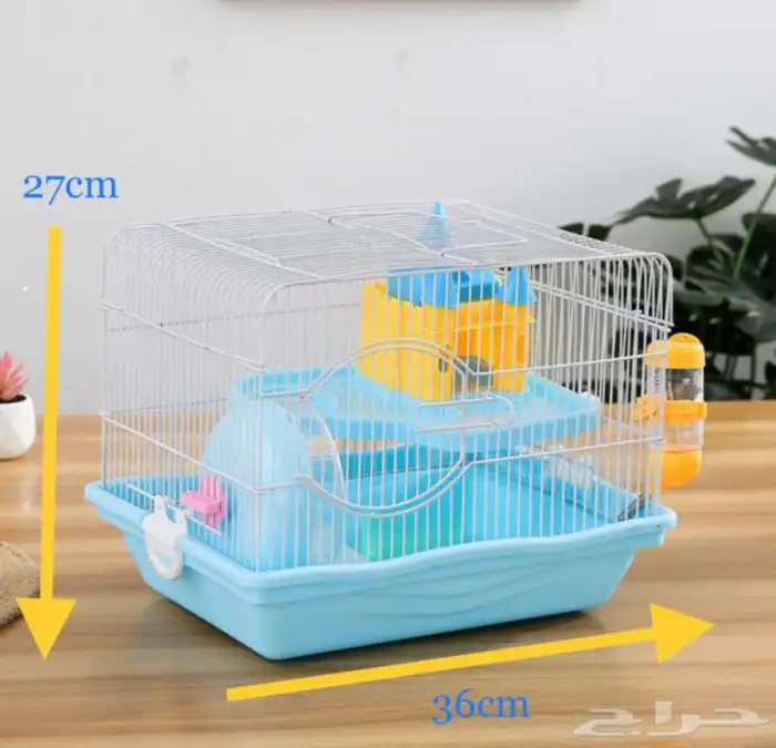 متجر حيوانات Modi Birds 4