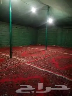 تاجير خيام وبيوت شعر وبناء مخيمات داخل وخارج حائل 2