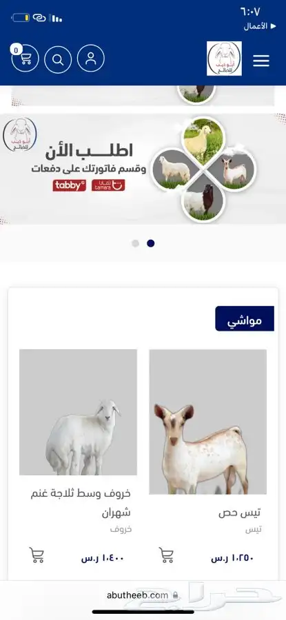 طليان وتيوس ذبح وتوصيل 9