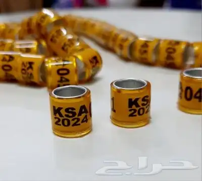 حجول حمام زاجل 2024 مقاس 8 ملم 0