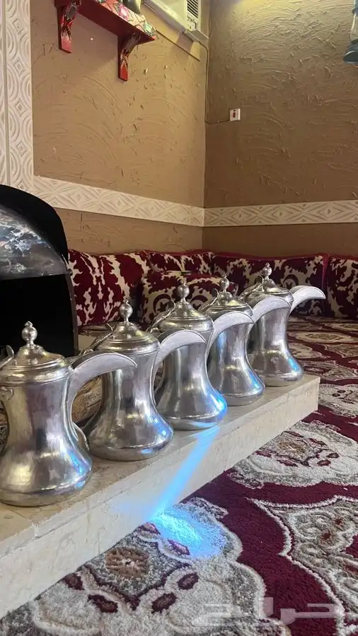 دلال مهدي صالح 1