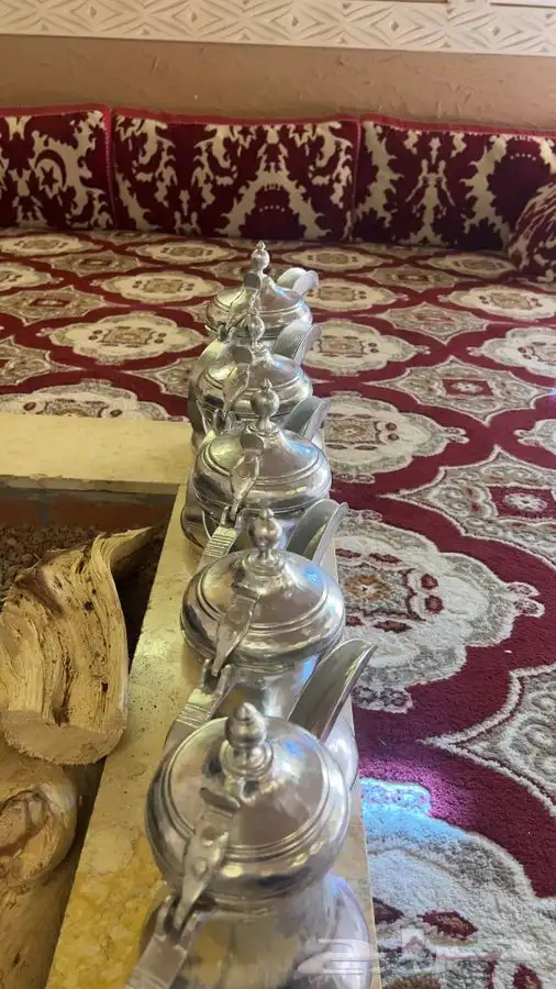 دلال مهدي صالح 2