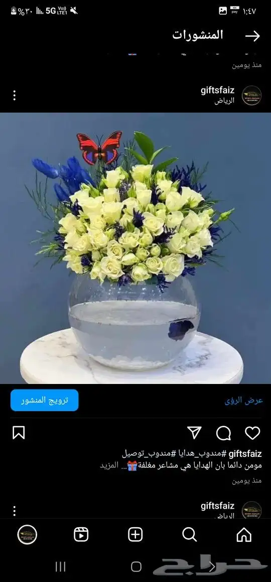 باقات ورد  هدايا  باتشي  حلا توصيل الرياض شبكات عرائس هدايا 3