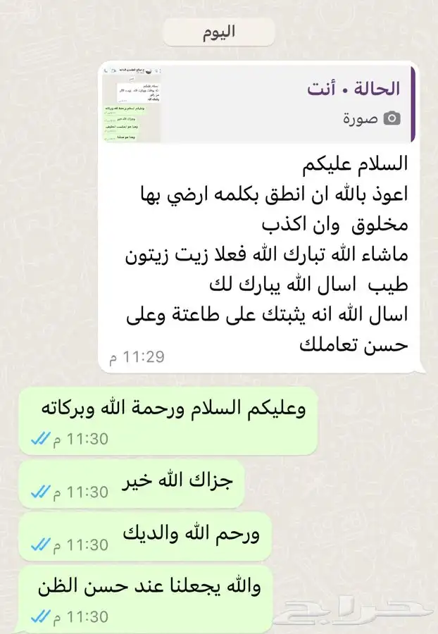 زيت زيتون الجوف 1445 2