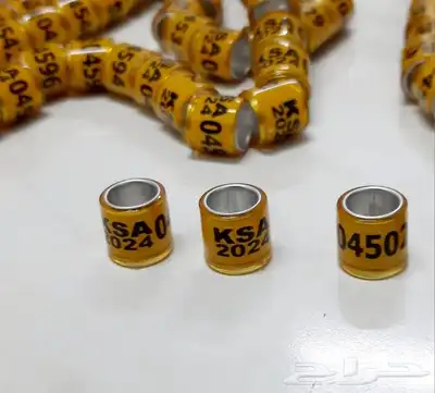 حجول حمام زاجل 2024 مقاس 8 ملم 2