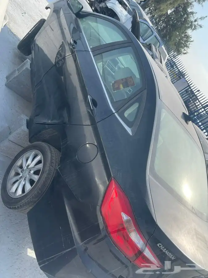 شنجان 2018 1