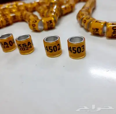 حجول حمام زاجل 2024 مقاس 8 ملم 3