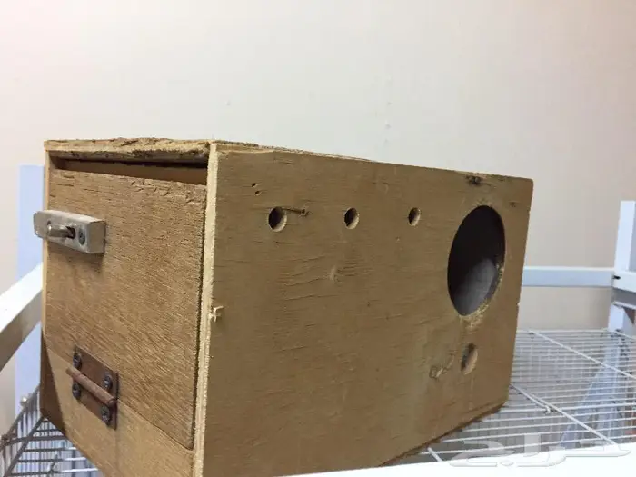 استاندات 601 وشبوك 601 2