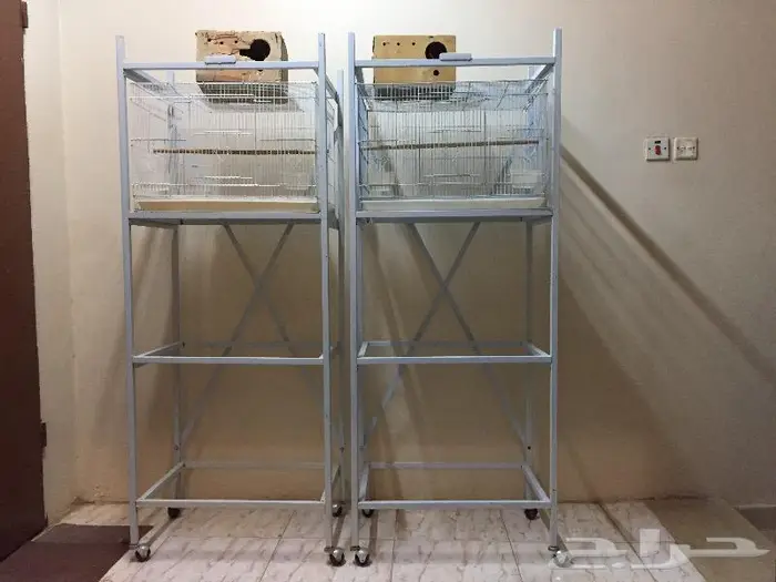 استاندات 601 وشبوك 601 0