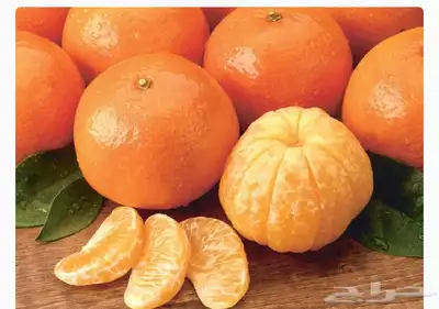 مشتل الاكليل 3
