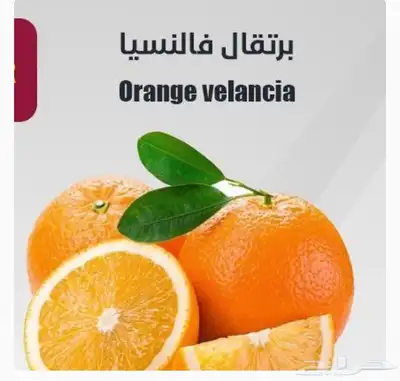 مشتل الاكليل 1