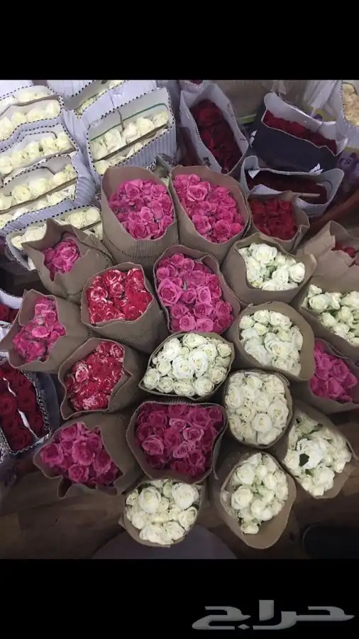 ورد بالجمله 27 ريال 10 2