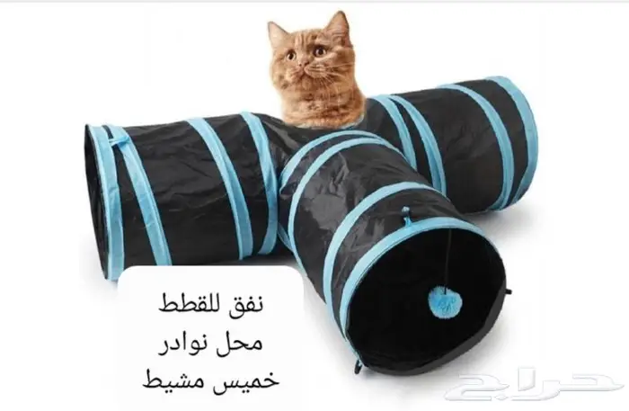 داري فود قطط وجميع مستلزماتها نوادر 25