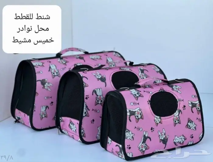 داري فود قطط وجميع مستلزماتها نوادر 33