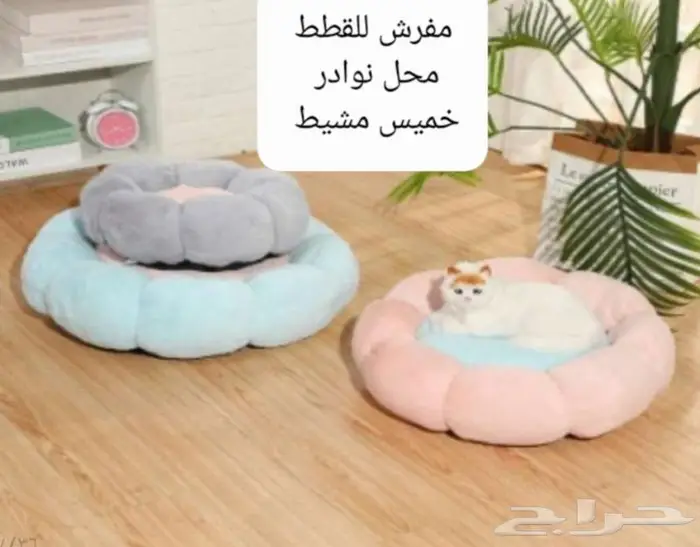 داري فود قطط وجميع مستلزماتها نوادر 35
