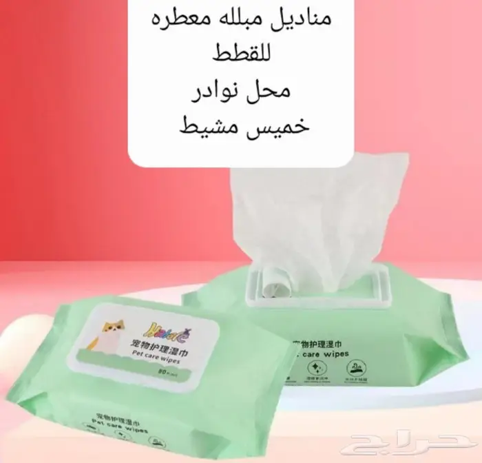 داري فود قطط وجميع مستلزماتها نوادر 31