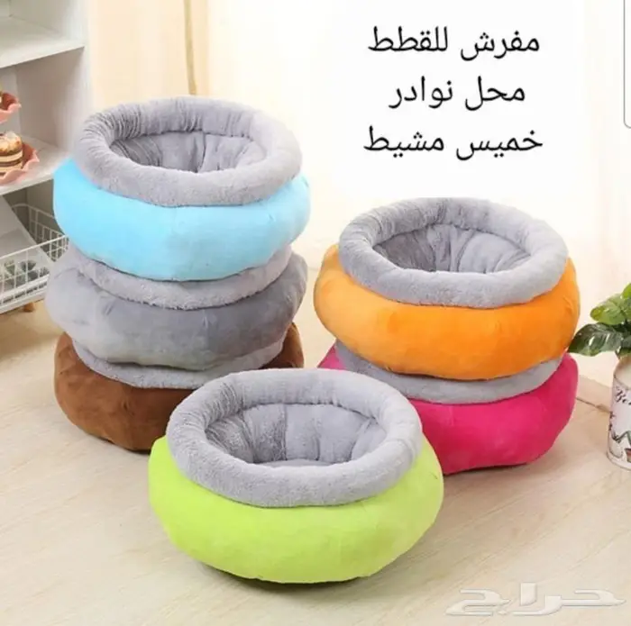 داري فود قطط وجميع مستلزماتها نوادر 34