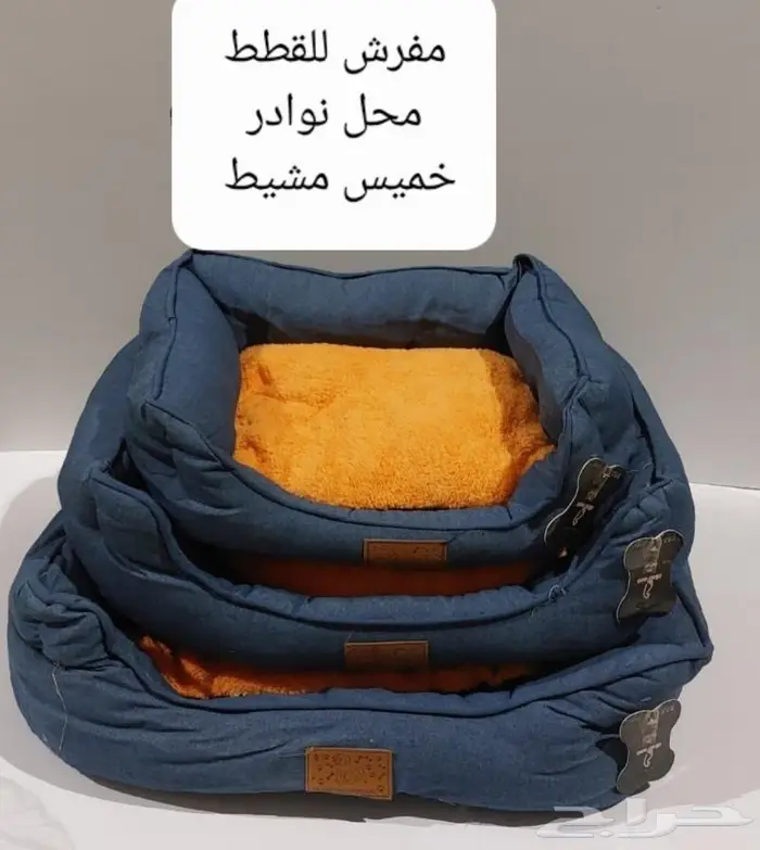 داري فود قطط وجميع مستلزماتها نوادر 36