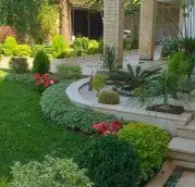 تكريب النخيل وترتيب الاشجار 9