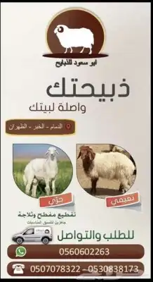 ذبيح 3