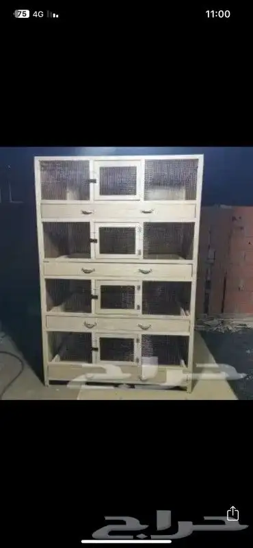 قفص محاكر 13