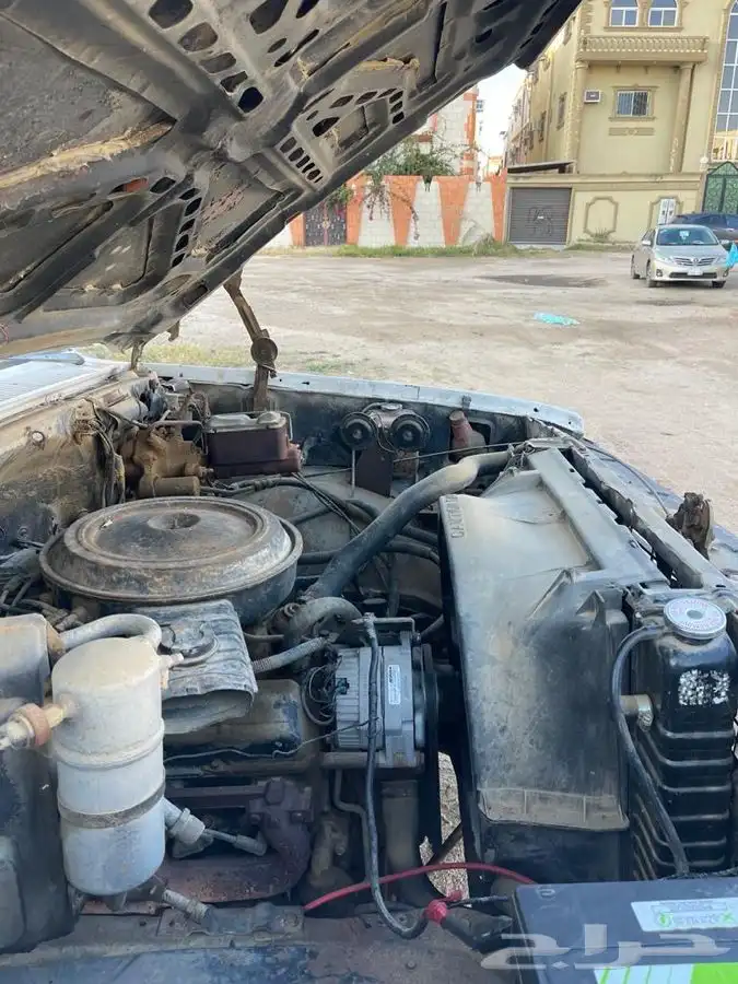 جمس نحل للبيع 4